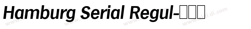 Hamburg Serial Regul字体转换
